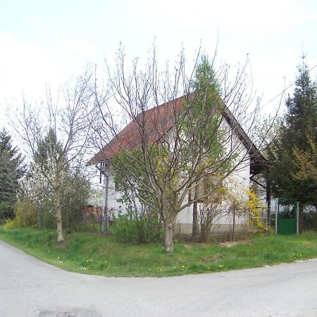 Nefelejcs Apartman Fertőhomok Esterno foto