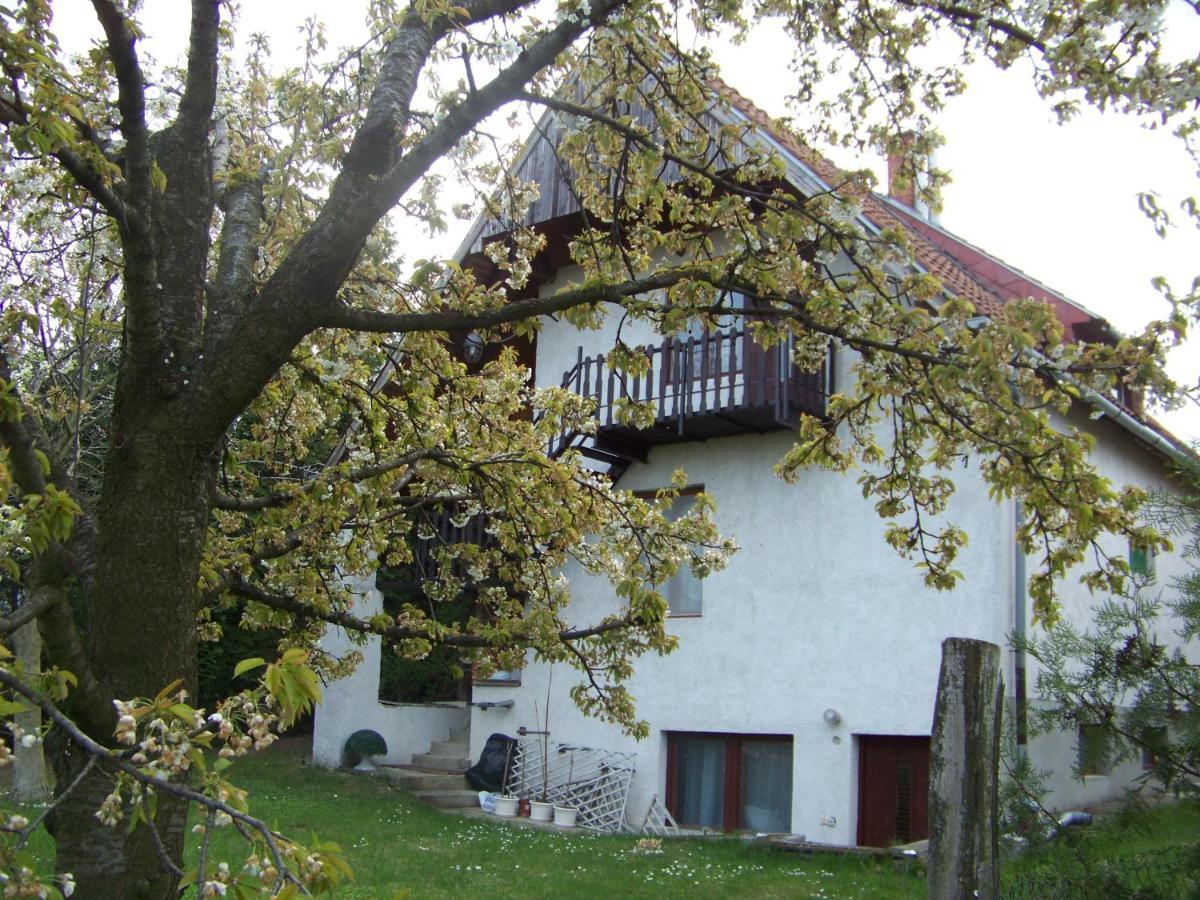 Nefelejcs Apartman Fertőhomok Esterno foto